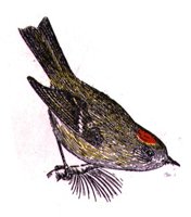 AAS50812.JPG