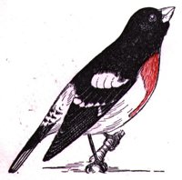 AAS50806.JPG