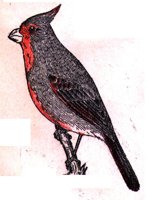 AAS50802.JPG
