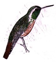 AAS50794.JPG