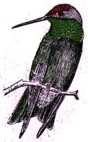 AAS50792.JPG