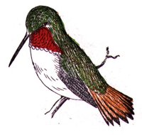 AAS50790.JPG