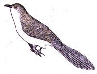 AAS50759.JPG