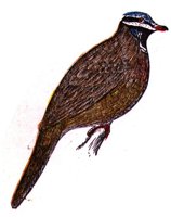 AAS50755.JPG