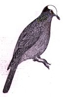 AAS50746.JPG
