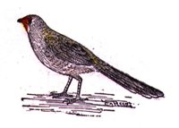 AAS50743.JPG