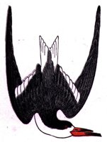 AAS50739.JPG