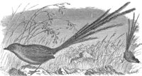 AAS50620.JPG