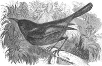 AAS50607.JPG
