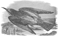 AAS50601.JPG
