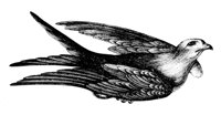 AAS50576.JPG