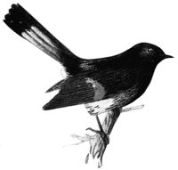 AAS50572.JPG