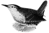 AAS50571.JPG