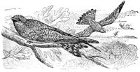 AAS50512.JPG