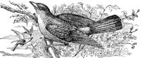AAS50504.JPG