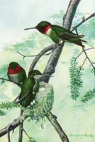 AAS50385.JPG