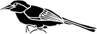 AAS50223.TIF