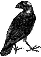 AAS50185.TIF