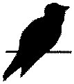 AAS50065.TIF