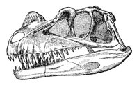 ABV50076.JPG