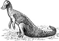 ABV50075.JPG