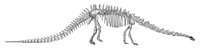 ABV50074.JPG