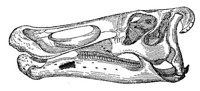 ABV50073.JPG