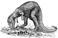 ABU50112.JPG