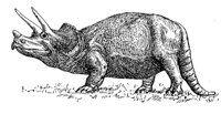 ABT50025.JPG