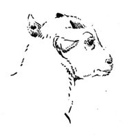 ACE50076.JPG
