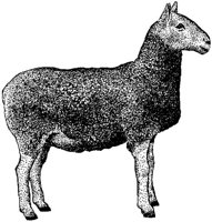 ACE50073.JPG
