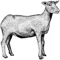 ACE50068.JPG