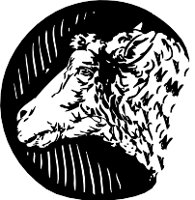 ACE00038.WMF