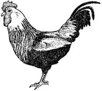 ACD50023.JPG