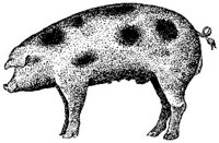 ACC50243.JPG