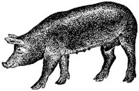 ACC50241.JPG