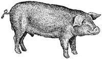 ACC50240.JPG