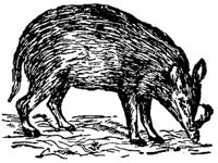 ACC50120.JPG