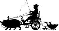 ACC50119.TIF