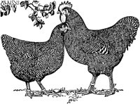 ACC50076.TIF