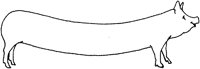 ACC50049.TIF