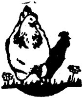 ACC50029.TIF