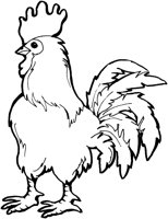 ACC50025.TIF