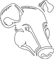 ACC00009.WMF