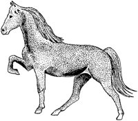 ACB50214.JPG