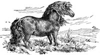 ACB50208.JPG
