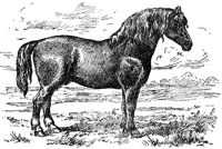 ACB50207.JPG