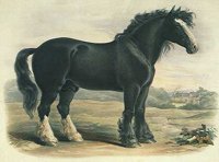 ACB50166.JPG