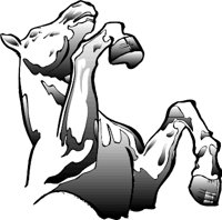 ACB00080.WMF