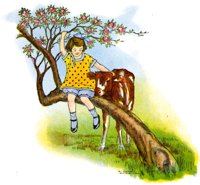 ABY50326.JPG